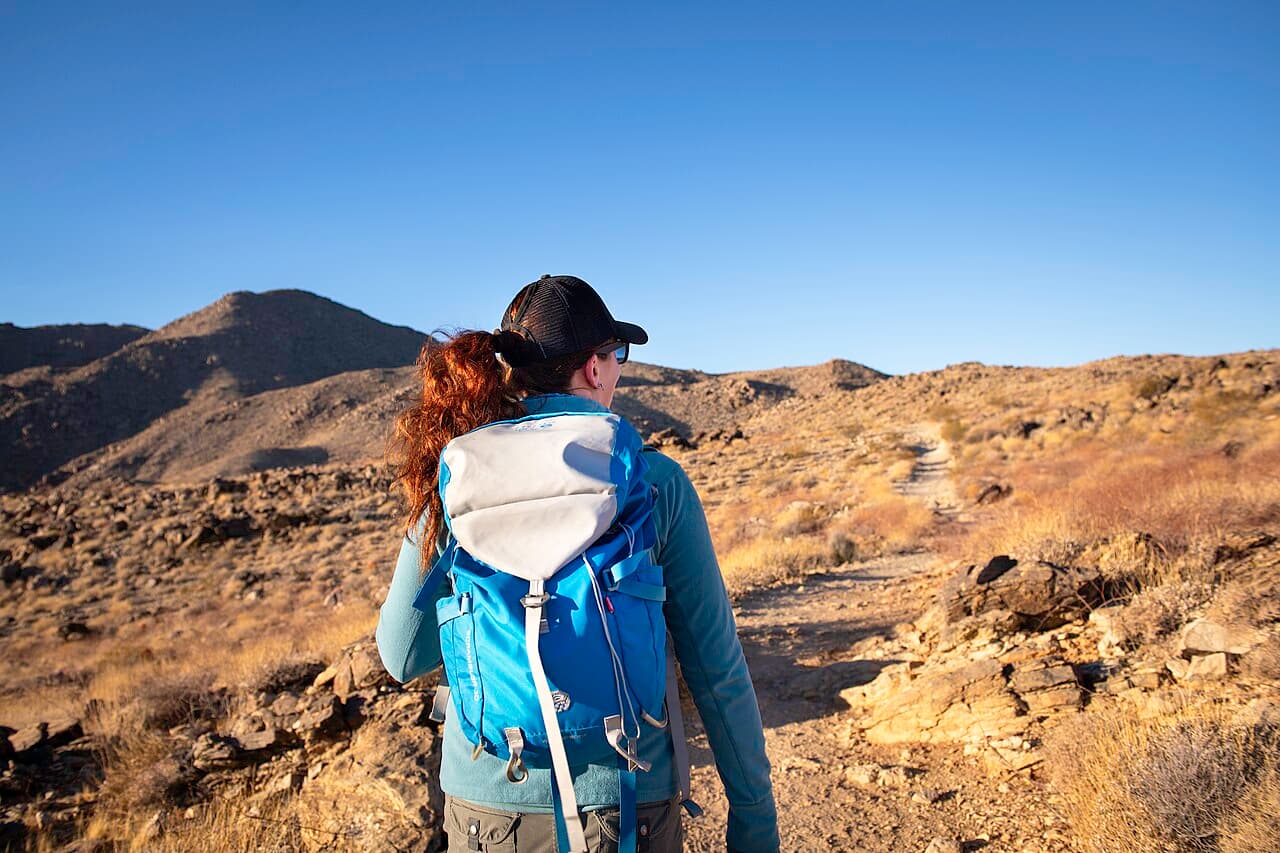 A hiker following a desert trail among brush in Joshua Tree National Park.