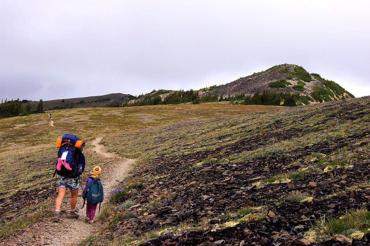 A family hiking together along a subalpine trail with backpacks.
